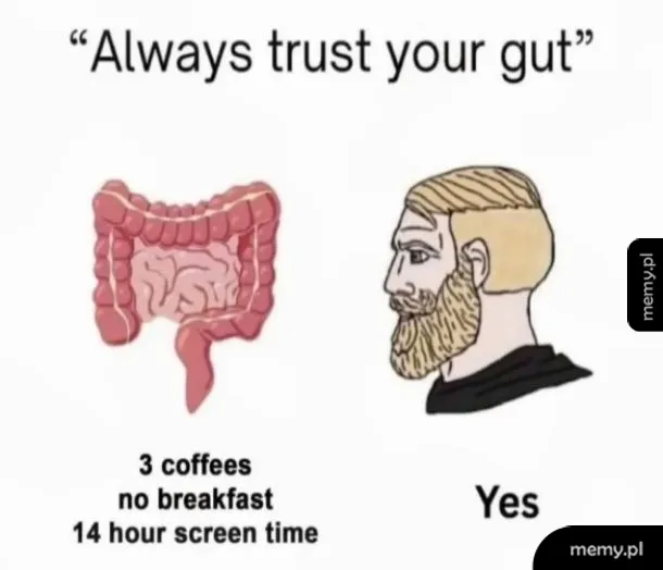 Mem z jelitem i postawionym Chadem oraz napisem Always trust your gut.