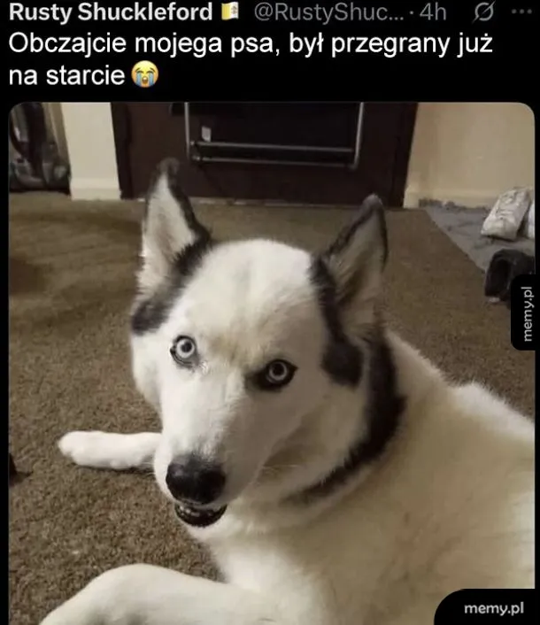 Zakolak