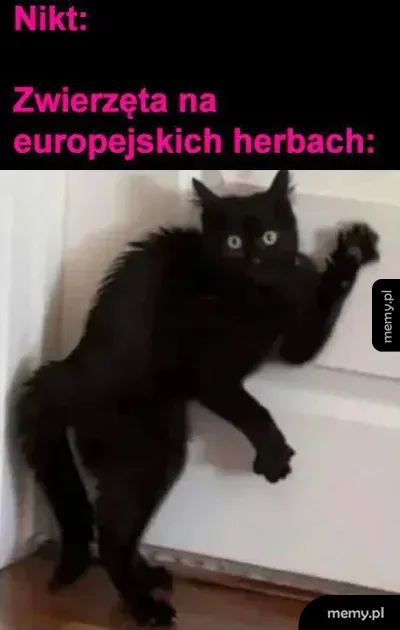 Majestatyczny kot herbowy 🛡️🐈‍⬛👑