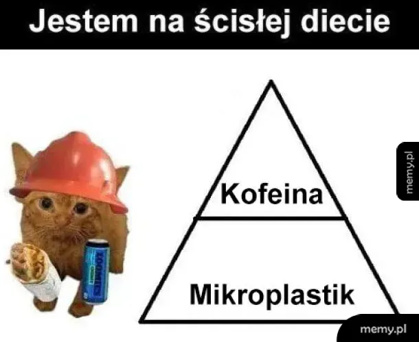 Dieta przeciętnego pracownika budowy