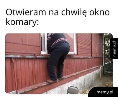 Mężczyzna włamujący się przez okno do budynku