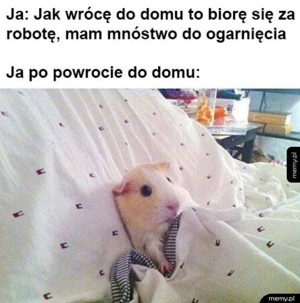 Miała być produktywna