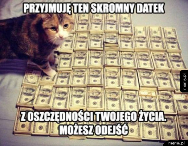 Kot Rufus - Milioner z Przypadku