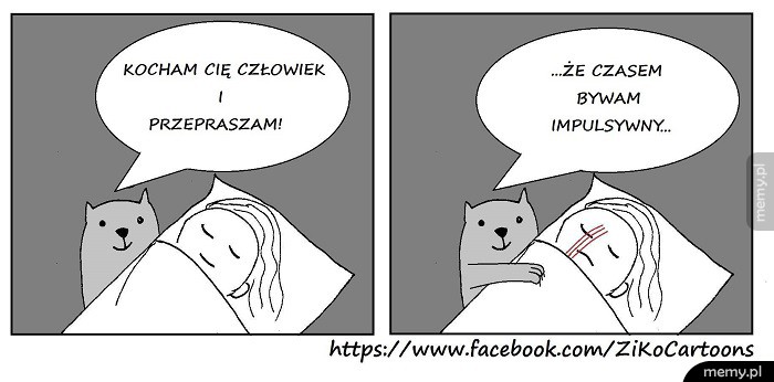      Koteł