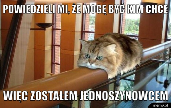            Koteł