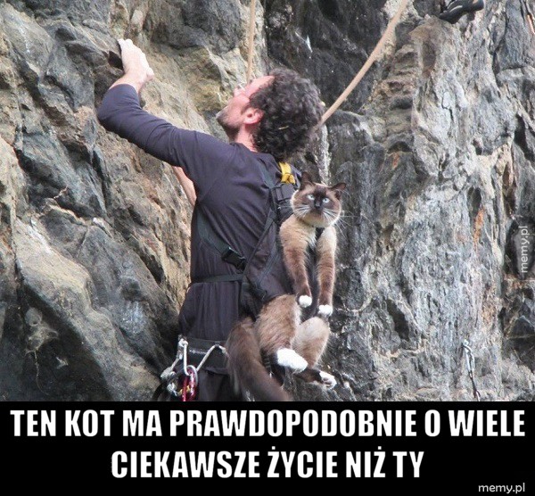    Koteł 