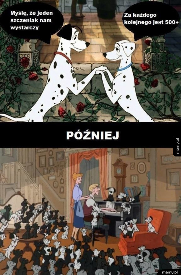 Pincet plus