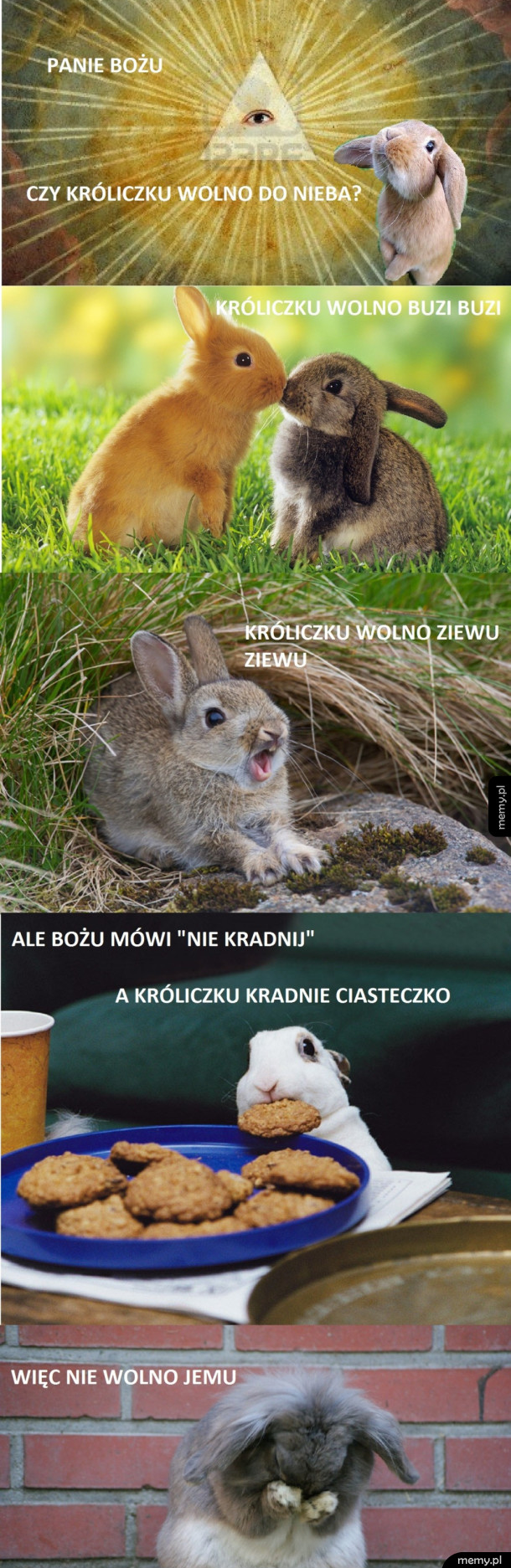 Czy króliczku wolno do nieba?