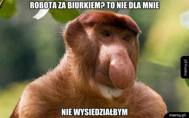 Ileż razy to słyszałem