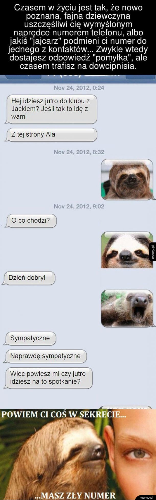 Dowcipniś
