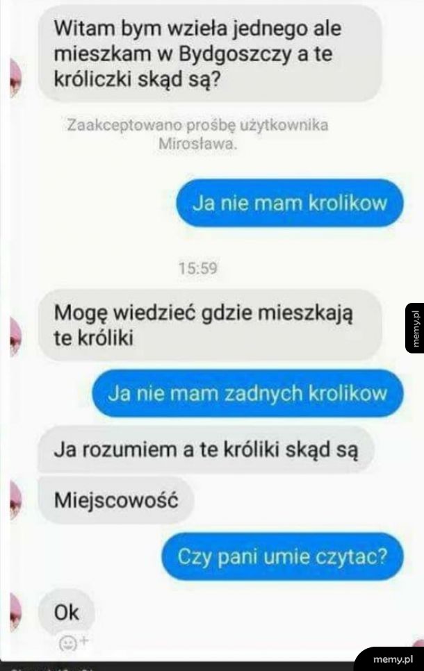 Gdzie mieszkają króliki