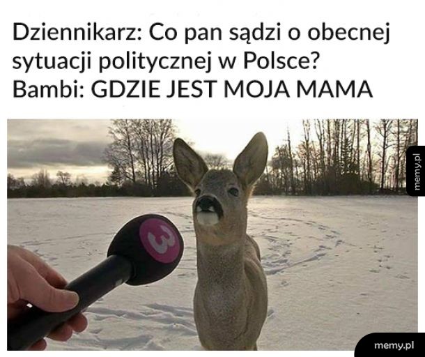 Bambi