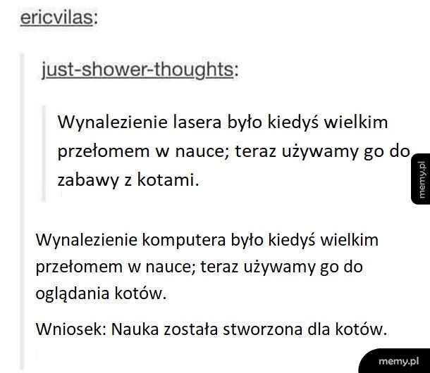 Koty rządzą światem