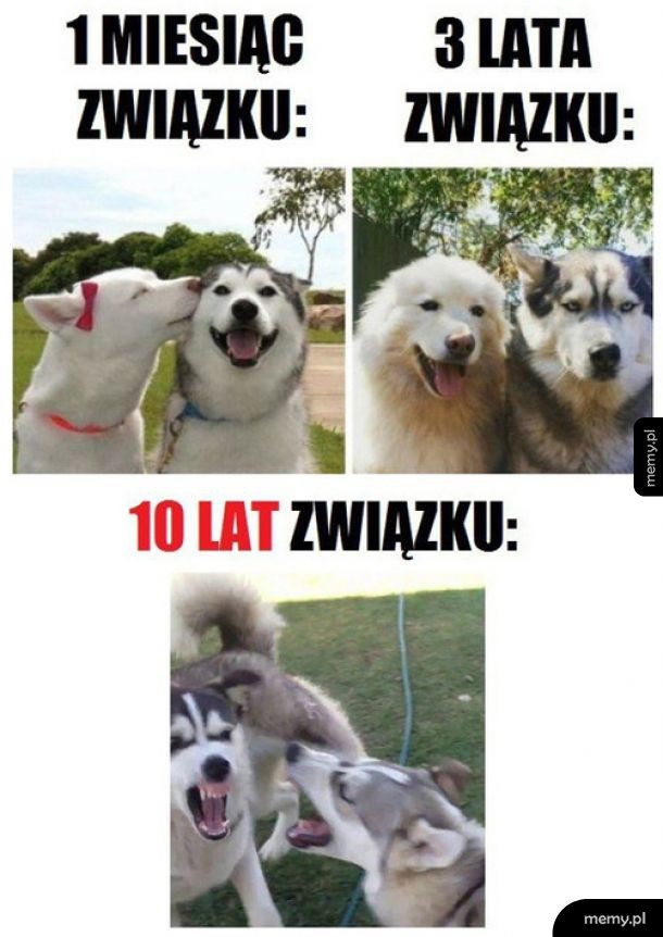 Ewolucja związków