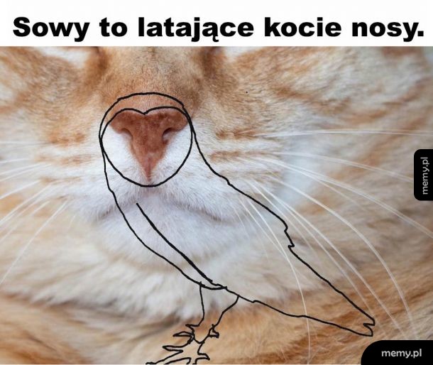 Jak to teraz odwidzieć