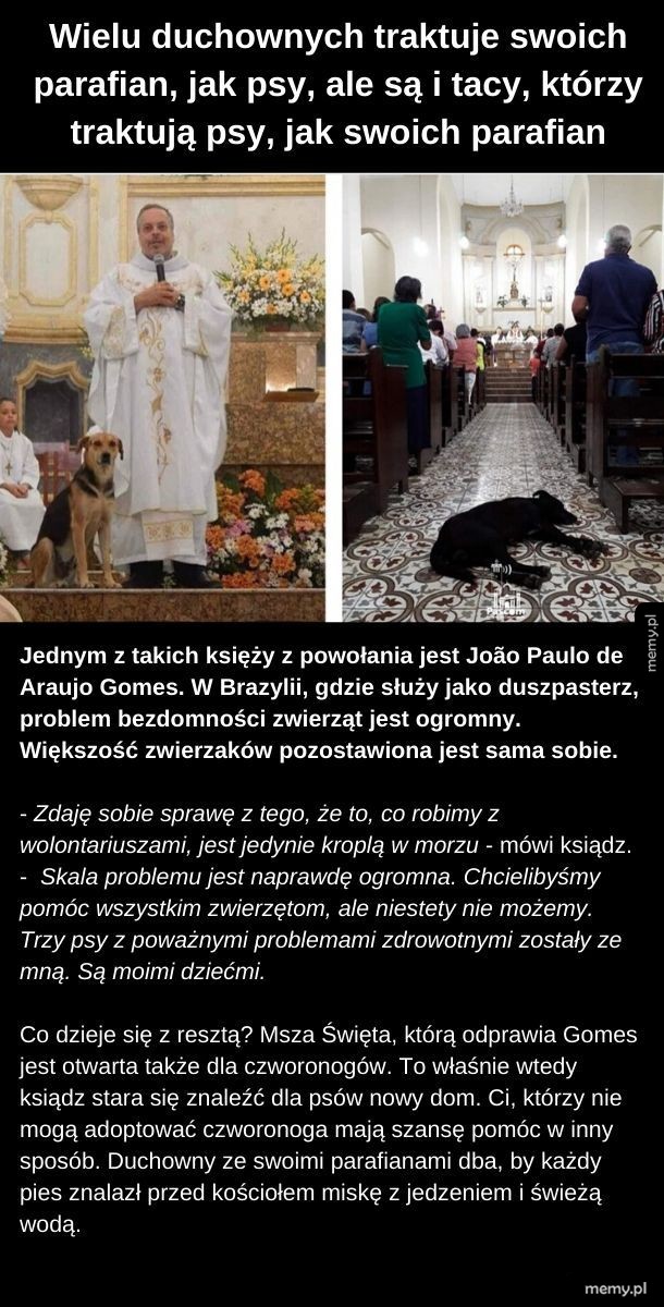 Psi ksiądz
