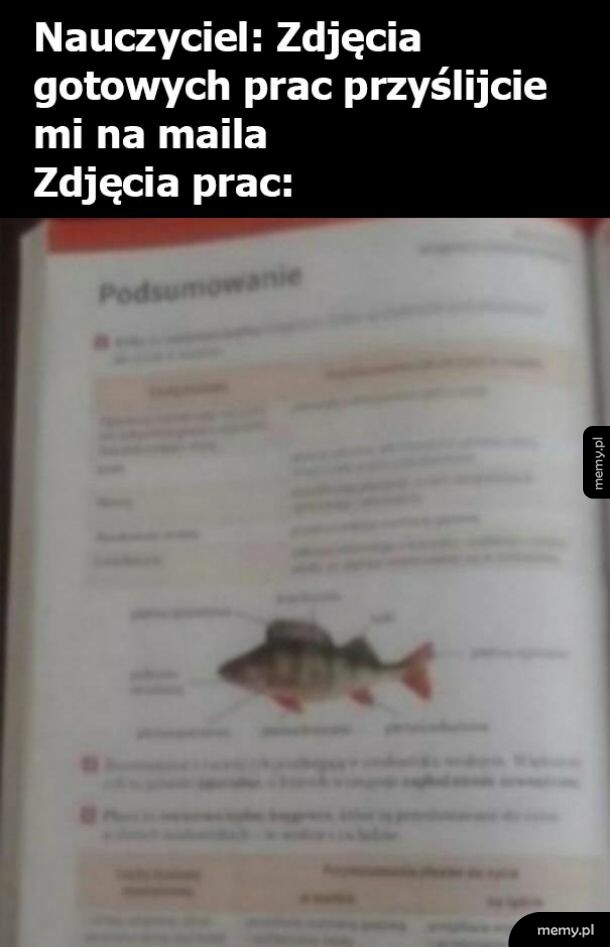 Nauka 2020