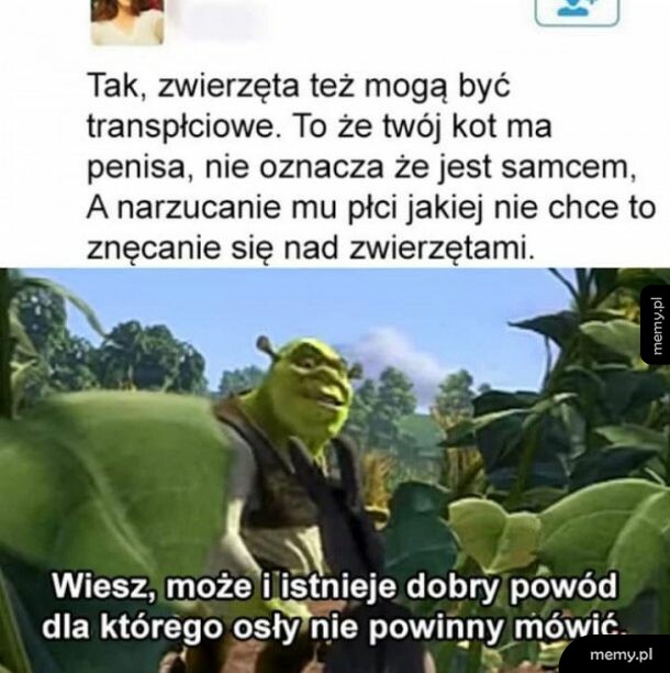 Osły