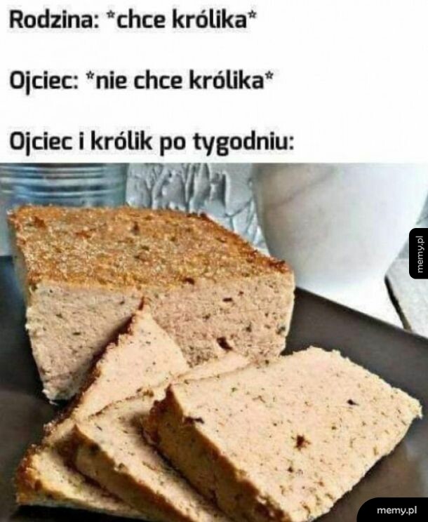 Królik