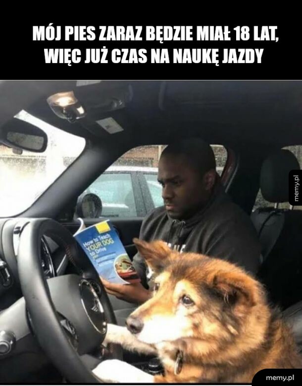 Nauka jazdy
