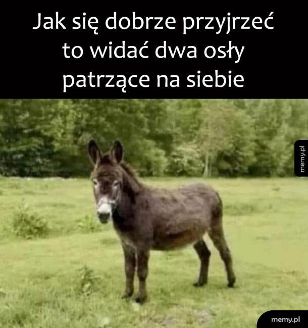 Cóż za spotkanie