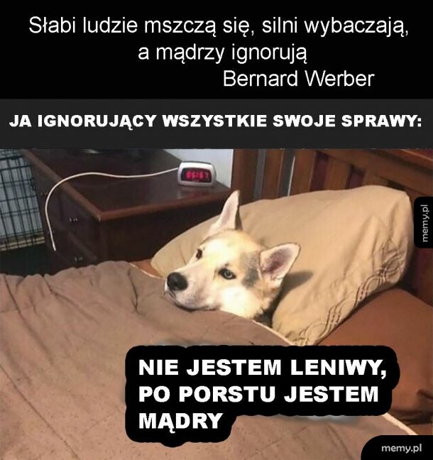 Warto słuchać się mądrych ludzi