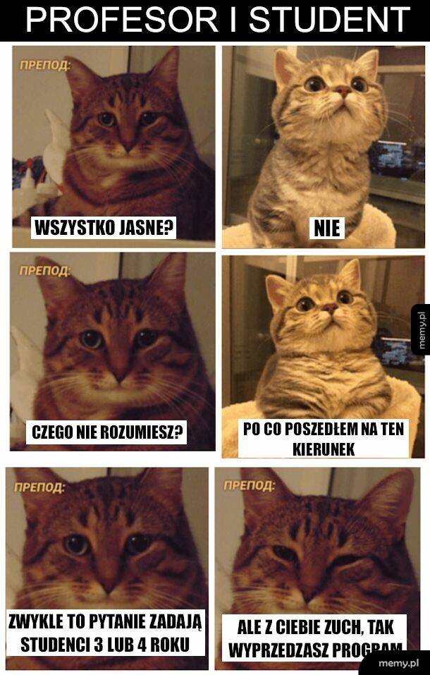 Purchel się na coś przydał