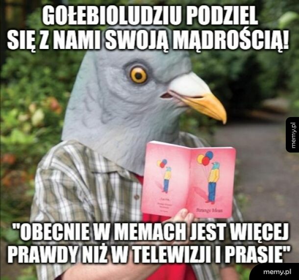 Taka mądrość z tych memów!