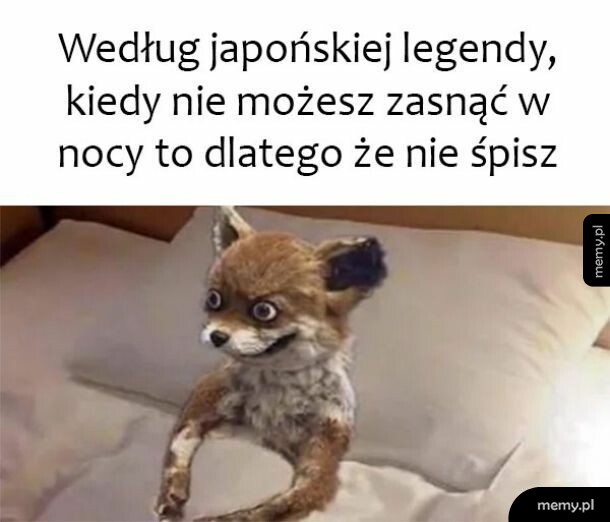 Mądrość prosto z Japonii