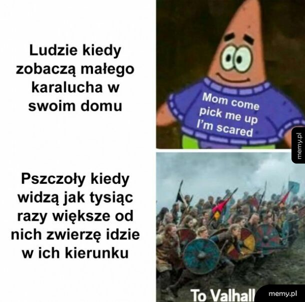 Waleczne maluchy