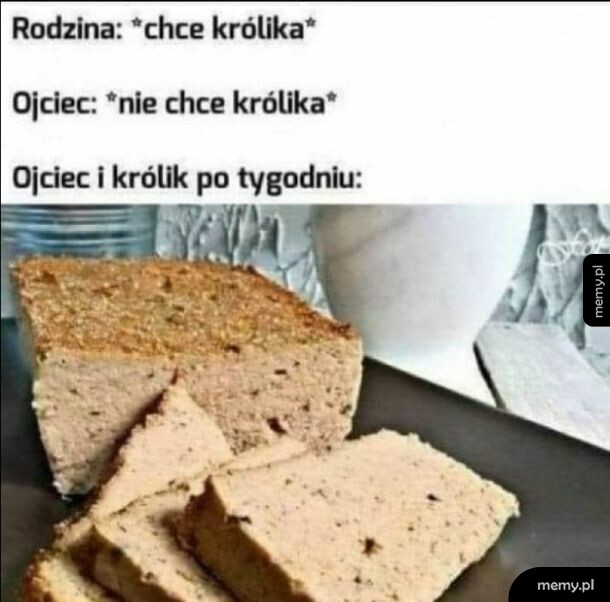 Królik