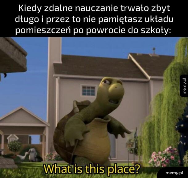 Już wszystko zapomniałem