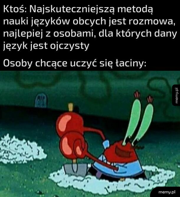 Nauka języków