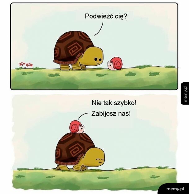 Żółw i ślimak