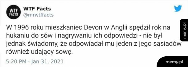 Sąsiad