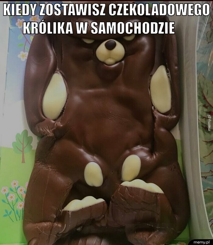 Czekoladowy królik