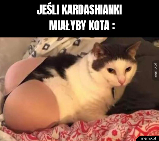 Kot Kim