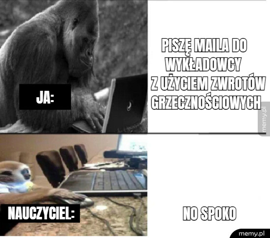 Rozmowa z wykładowcą