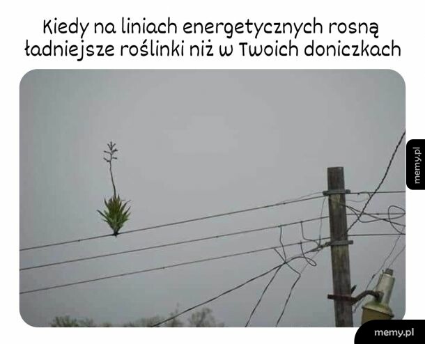 Dlaczego tak?