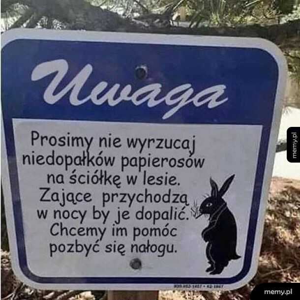 Co jest doktorku?