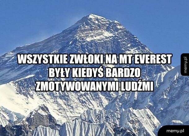 Zmotywowani ludzie