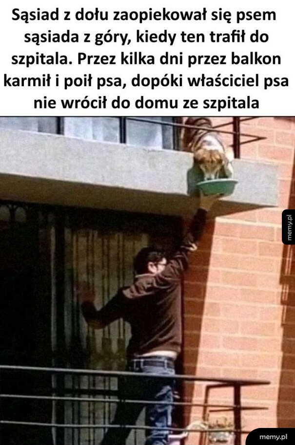 Sąsiad z dołu