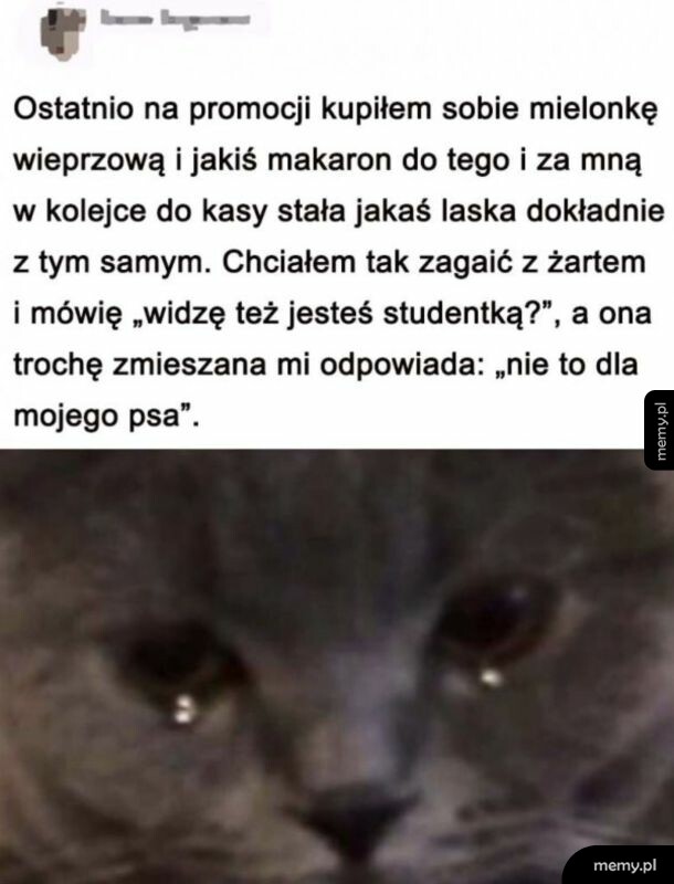 Tekst o zakupach studenta i zdjęcie płaczącego kota.