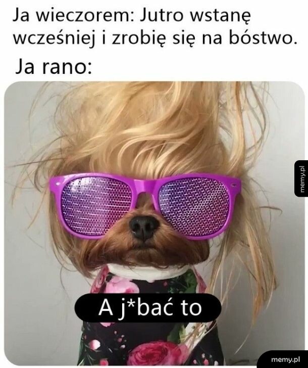 Postanowienia