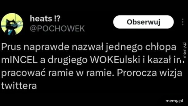 mINCEL i WOKEulski