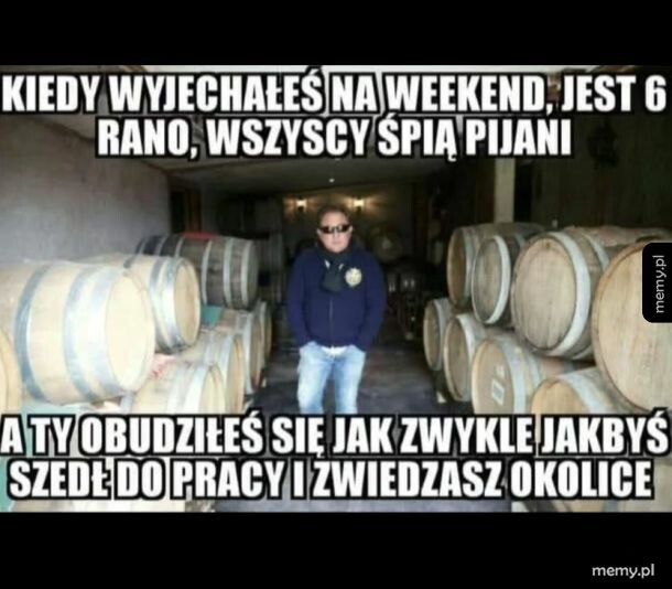 Mózg nie zrozumiał że powinien mieć kaca