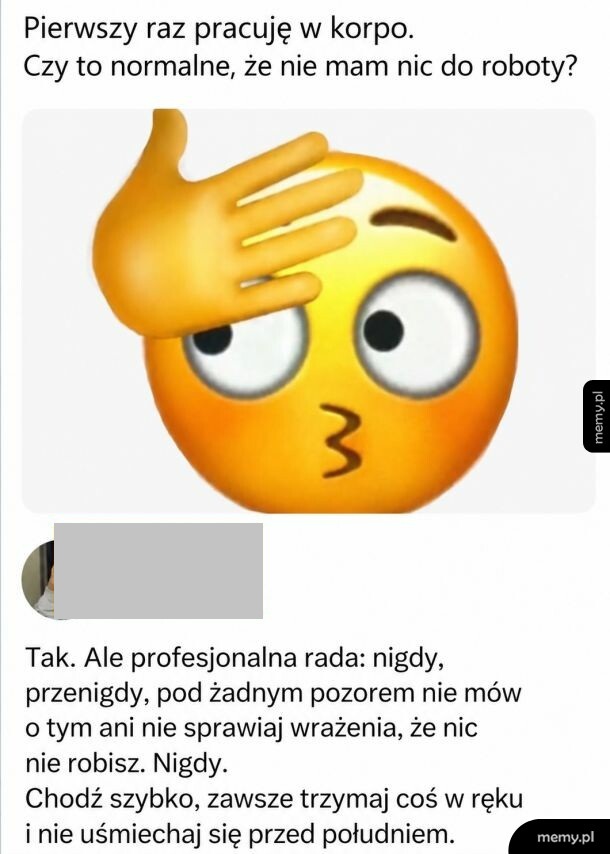 Nowa praca