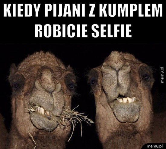Selfie