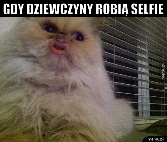 Selfie