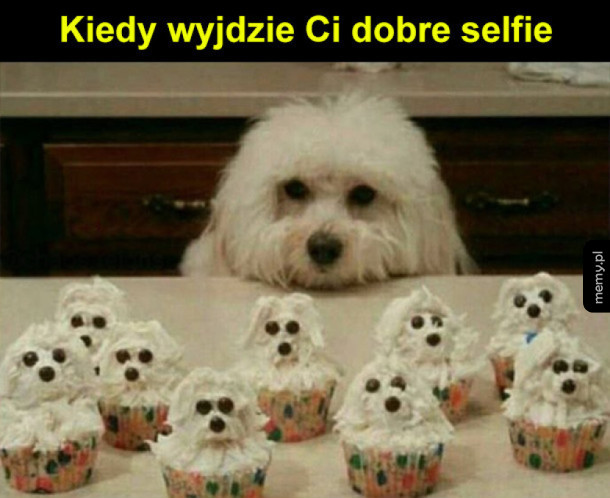Zobaczcie wszyscy